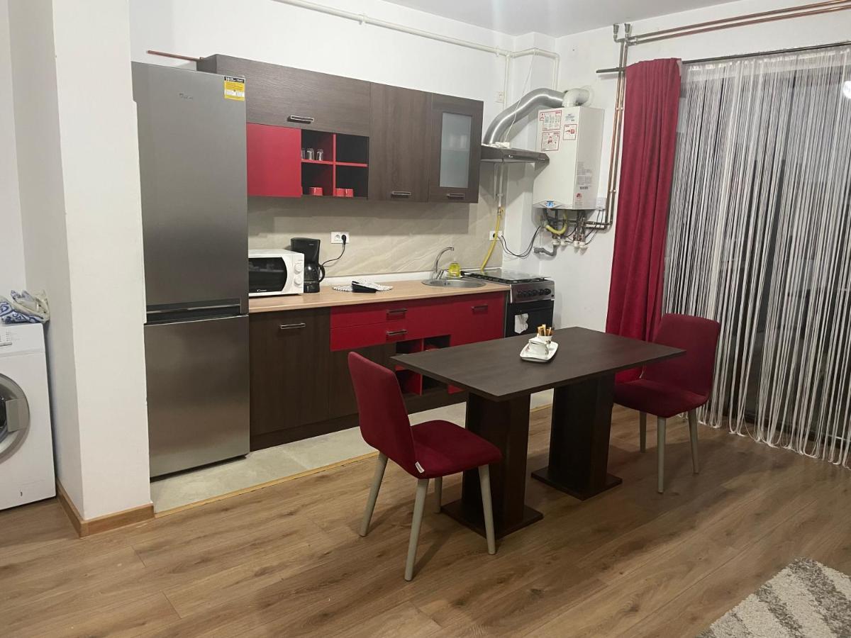 Apartament Adriana Apartment Giroc ภายนอก รูปภาพ