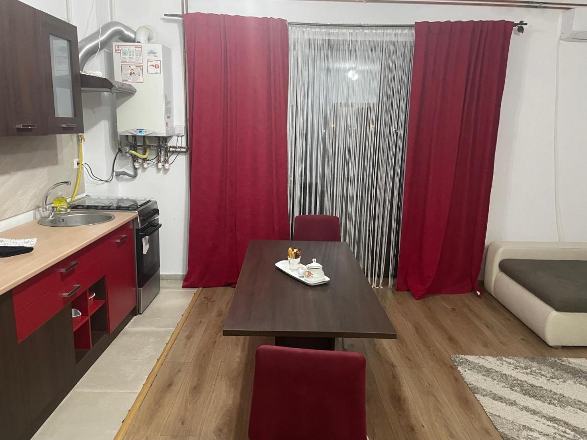 Apartament Adriana Apartment Giroc ภายนอก รูปภาพ
